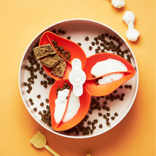 Charger l'image dans la galerie, GAMELLE interactif SPIN