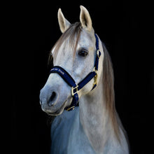 Charger l'image dans la galerie, Licol Wérano back on track