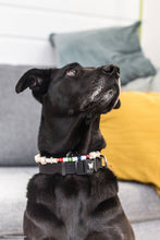 Charger l'image dans la galerie, Collier Anti-tiques en cuir - XS à XL