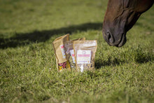 Charger l'image dans la galerie, friandises happy crackers cheval