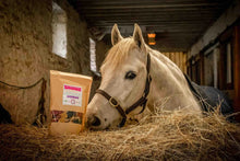 Charger l'image dans la galerie, friandises happy crackers cheval