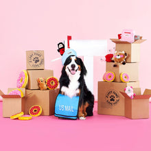 Charger l'image dans la galerie, ZippyPaws Valentine's - Fraises enrobées de chocolat