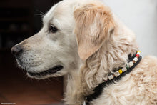 Charger l'image dans la galerie, Collier Anti-tiques en cuir - XS à XL