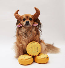 Charger l'image dans la galerie, Jouet pour chien Bite Coin