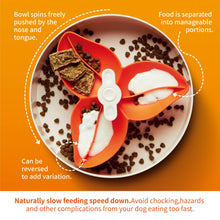 Charger l'image dans la galerie, GAMELLE interactif SPIN