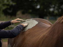 Charger l'image dans la galerie, Argile Drainage et Detox NELLUMBO