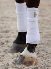 Charger l'image dans la galerie, Bandes polaires Loire