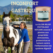 Charger l'image dans la galerie, Ulcer relief phytology vetcare
