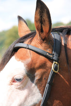 Charger l'image dans la galerie, SIDEPULL BIOTACK