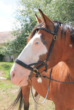 Charger l'image dans la galerie, SIDEPULL BIOTACK