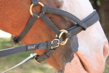 Charger l'image dans la galerie, SIDEPULL BIOTACK