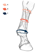 Charger l'image dans la galerie, Guetre equi compress