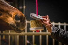 Charger l'image dans la galerie, Happy Wild Detox Carotte Pissenlit