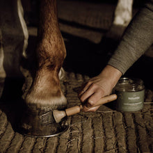 Charger l'image dans la galerie, Onguent pour sabots SPECIAL HIVER pour chevaux