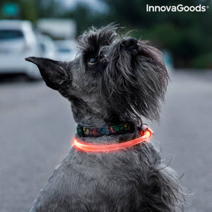 Collier pour animaux de compagnie à LED Petlux InnovaGoods