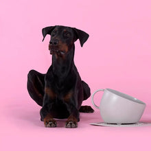 Charger l'image dans la galerie, bol écologique anti éclaboussure