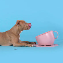 Charger l'image dans la galerie, bol écologique anti éclaboussure