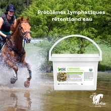 Charger l'image dans la galerie, Lymphanmix