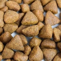 Croquettes chien ATAVIK sans céréales au poulet - Made in France