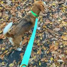 Charger l'image dans la galerie, LAISSE BANDOULLIÈRE 💜