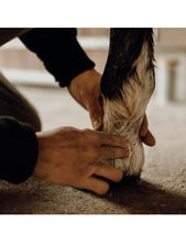 Charger l'image dans la galerie, Baume Protecteur & Hydratant équin - Plu'to Chic