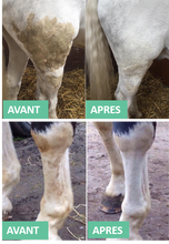 Charger l'image dans la galerie, EKIN DÉTACHANT POUR ROBE - Plu'to Chic