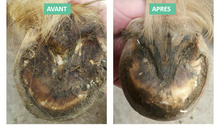 Charger l'image dans la galerie, EKIN GEL TRAITANT POURRITURE DES FOURCHETTES - Plu'to Chic