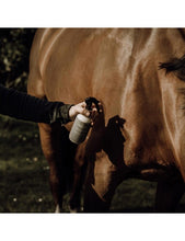 Charger l'image dans la galerie, Répulsif Insectes - Plu'to Chic