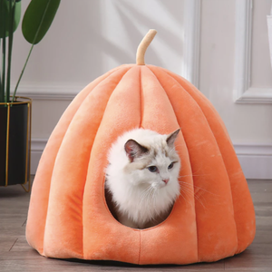 Dome pour chat en forme de citrouille