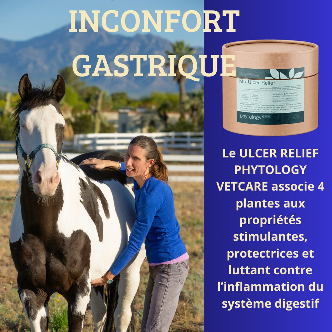 Ulcer relief phytology vetcare