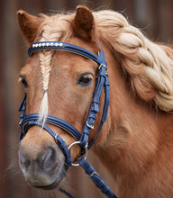 Charger l&#39;image dans la galerie, Filet Poney
